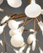 Heracleum Chandelier-DWHOME