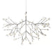 Heracleum Chandelier-DWHOME