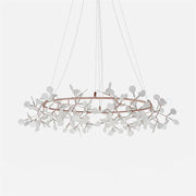 Heracleum Round Chandelier-DWHOME