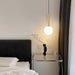 Holly Pendant Light-DWHOME
