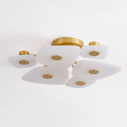 Holmdel Ceiling Lamp-DWHOME