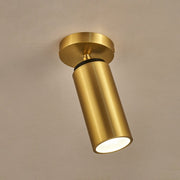Horizon Brass Spot Light-DWHOME