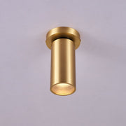Horizon Brass Spot Light-DWHOME