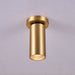 Horizon Brass Spot Light-DWHOME