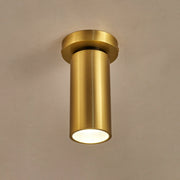 Horizon Brass Spot Light-DWHOME