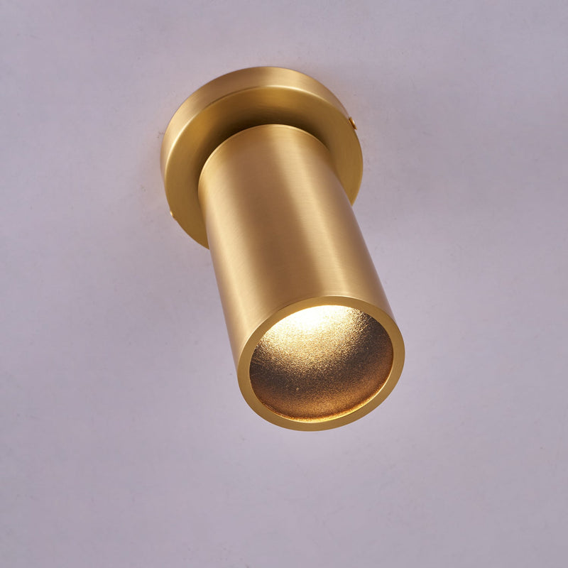 Horizon Brass Spot Light-DWHOME