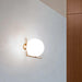 Blown Glass Opal Glass Wall Lamp - DWHOME