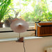 Ile Table Lamp-DWHOME