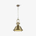 Industrial Country Metal pendant Light - DWHOME