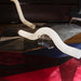 Infinity Pendant Lamp-DWHOME