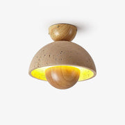 Inverted Ceiling Lamp-DWHOME