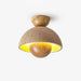 Inverted Ceiling Lamp - DWHOME