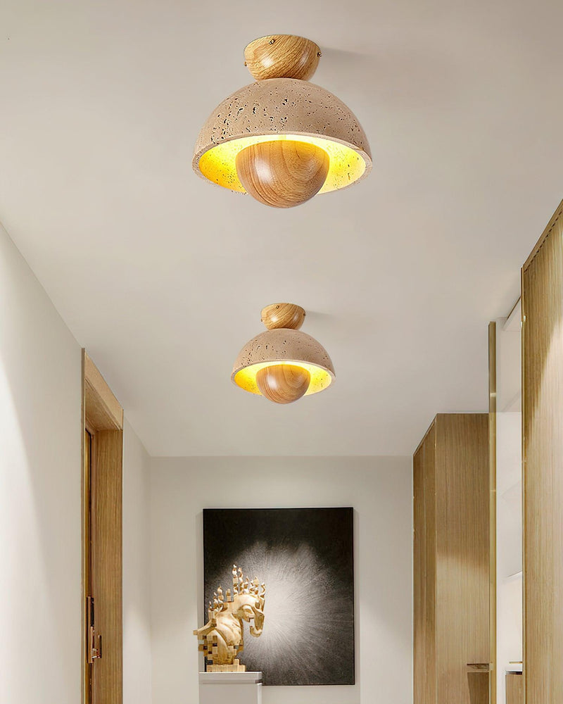 Inverted Ceiling Lamp-DWHOME