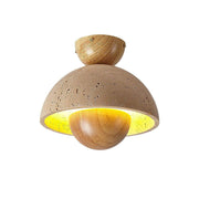 Inverted Ceiling Lamp-DWHOME