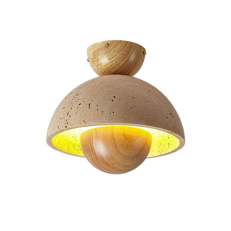 Inverted Ceiling Lamp-DWHOME