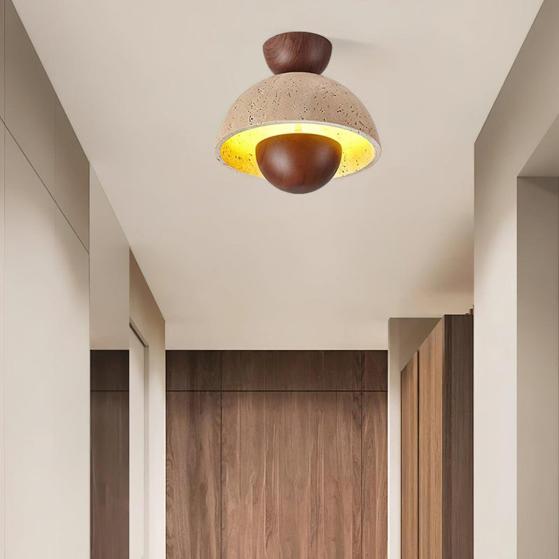 Inverted Ceiling Lamp-DWHOME
