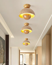Inverted Ceiling Lamp-DWHOME