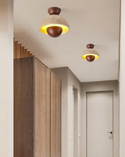 Inverted Ceiling Lamp-DWHOME