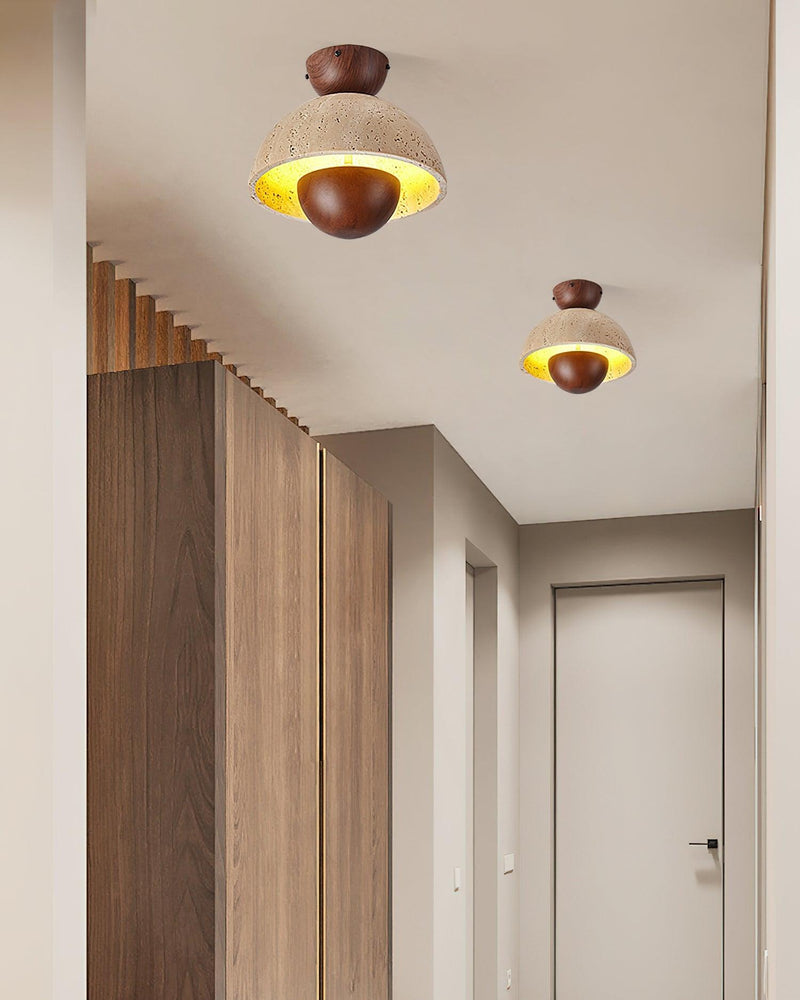 Inverted Ceiling Lamp-DWHOME