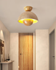 Inverted Ceiling Lamp-DWHOME