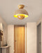 Inverted Ceiling Lamp - DWHOME