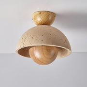 Inverted Ceiling Lamp-DWHOME