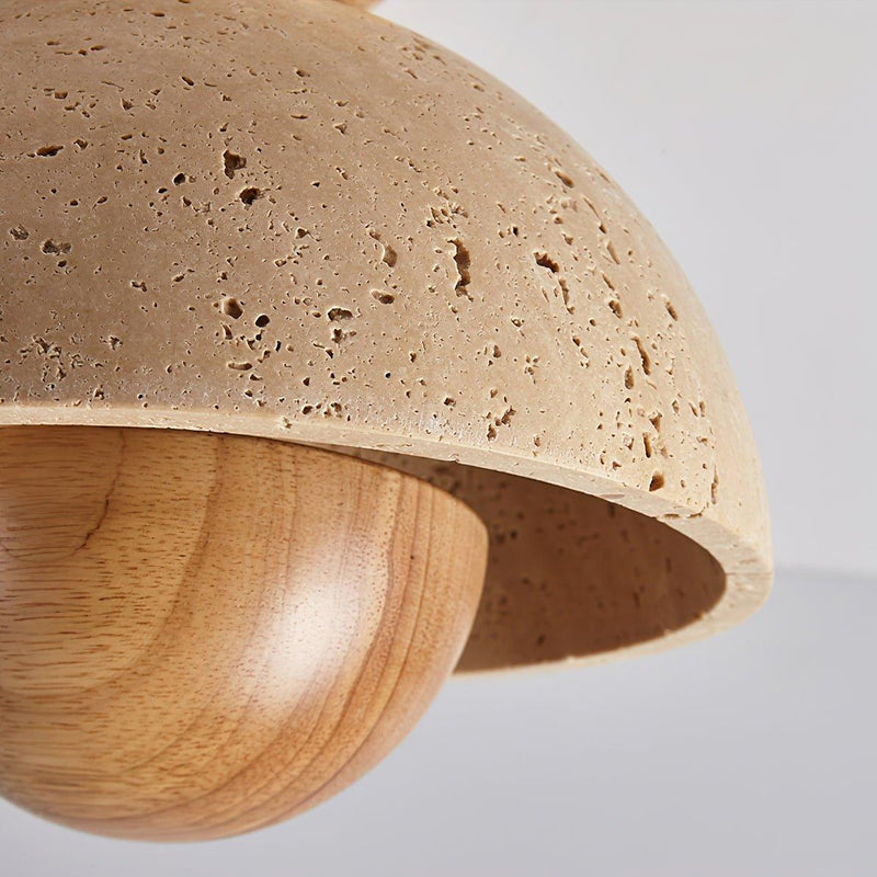 Inverted Ceiling Lamp-DWHOME