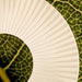 Iris Floor Lamp-DWHOME