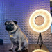 Iris Floor Lamp-DWHOME