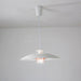 JL 341 Pendant Light-DWHOME