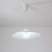 JL 341 Pendant Light-DWHOME