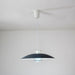 JL 341 Pendant Light-DWHOME