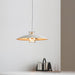 JL 341 Pendant Light-DWHOME