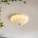 Jelly LED Ceiling Lamp-DWHOME
