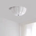 Jelly LED Ceiling Lamp-DWHOME