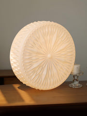 Adler Ceiling Light-DWHOME
