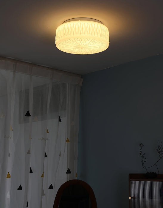 Adler Ceiling Light - DWHOME