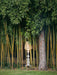 Kabuki Floor Lamp-DWHOME