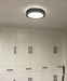 Karoline Black and White Monochrome Palette Shaped Ceiling Light.