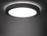 Karoline Black and White Monochrome Palette Shaped Ceiling Light.