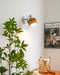 Karry Wall Lamp-DWHOME