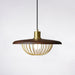 Kasa Pendant Lamp-DWHOME