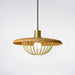 Kasa Pendant Lamp-DWHOME