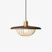 Kasa Pendant Lamp-DWHOME