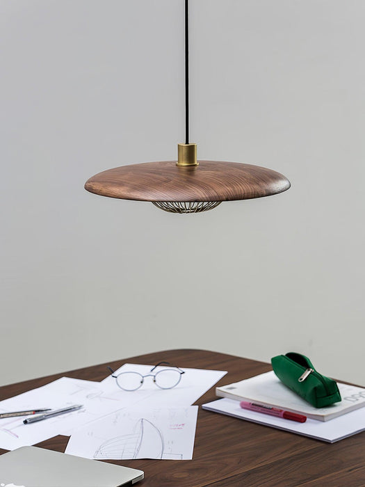 Kasa Pendant Lamp-DWHOME