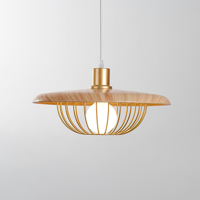 Kasa Pendant Lamp-DWHOME