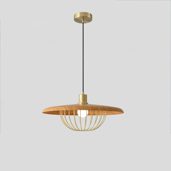 Kasa Pendant Lamp-DWHOME