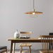 Kasa Pendant Lamp-DWHOME