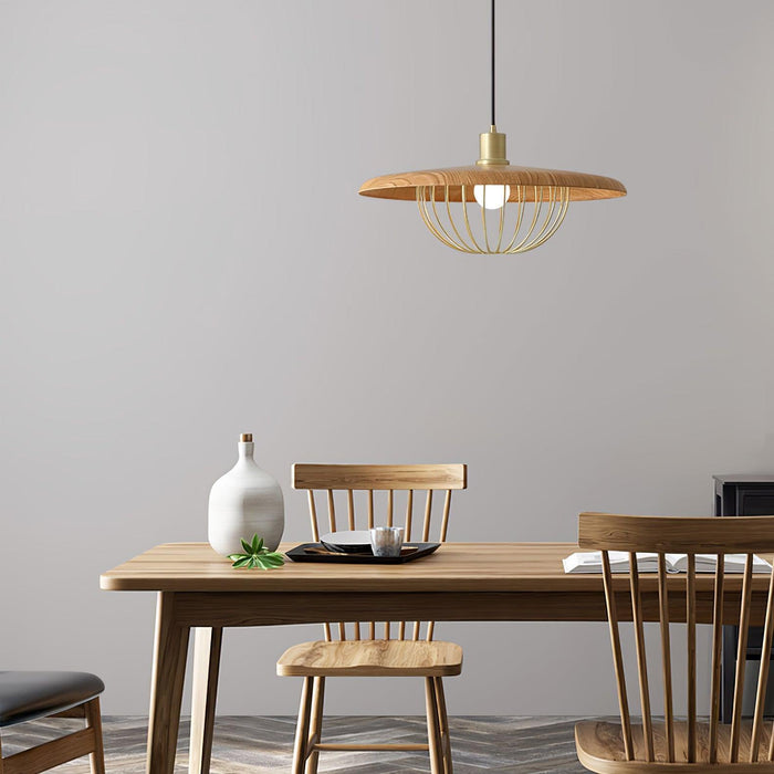Kasa Pendant Lamp-DWHOME
