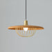 Kasa Pendant Lamp-DWHOME